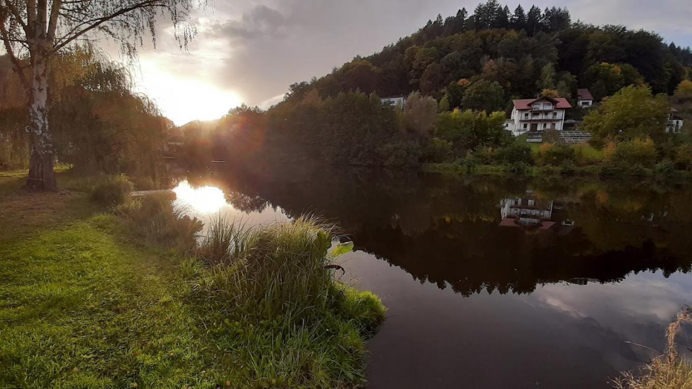 Landhotel Zur Wegelnburg Schönau Extérieur photo