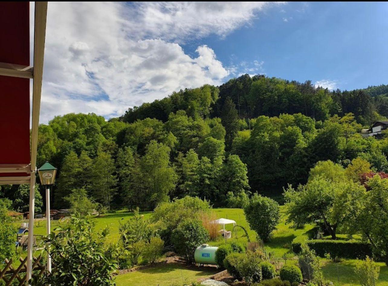 Landhotel Zur Wegelnburg Schönau Extérieur photo